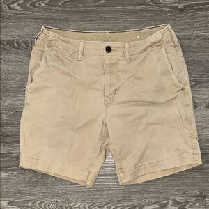 AMERICAN EAGLE Outfitters Men's Beige Flat Front Shorts